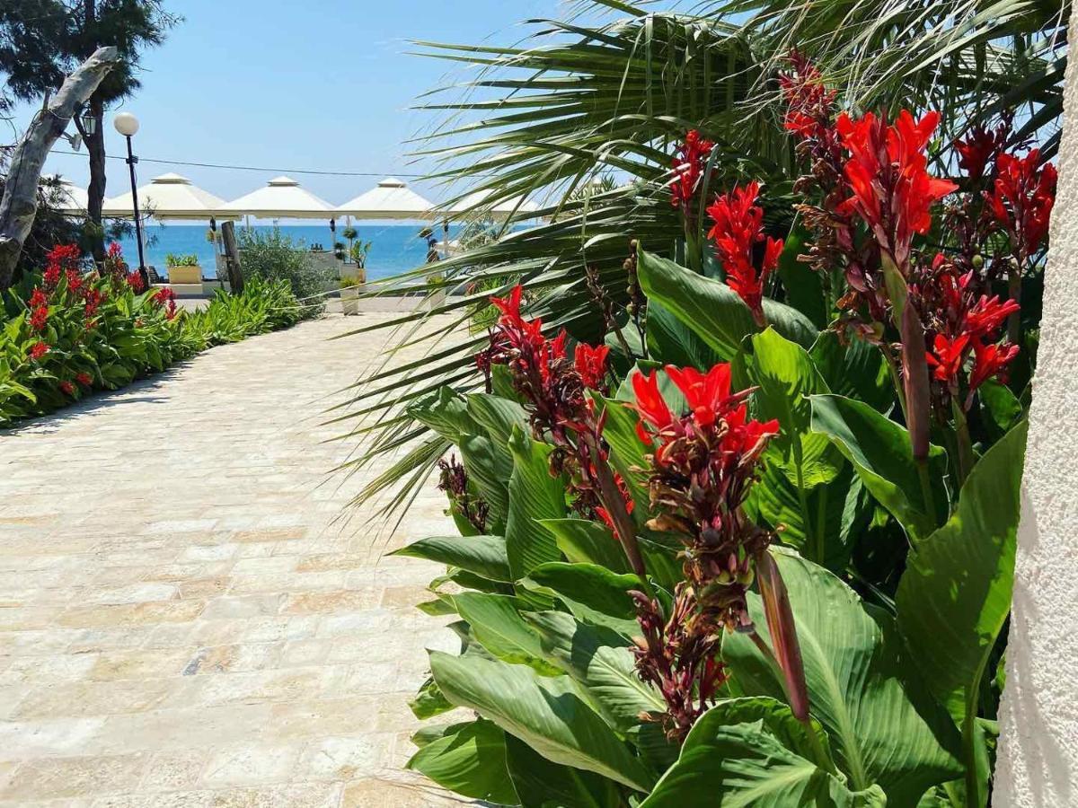Apartments Kuce Lekovica Beach & Snack Bar- Bistro Ngoại thất bức ảnh